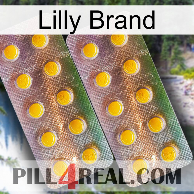 Lilly Brand new10